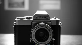Advanced Brownie Photography Techniques